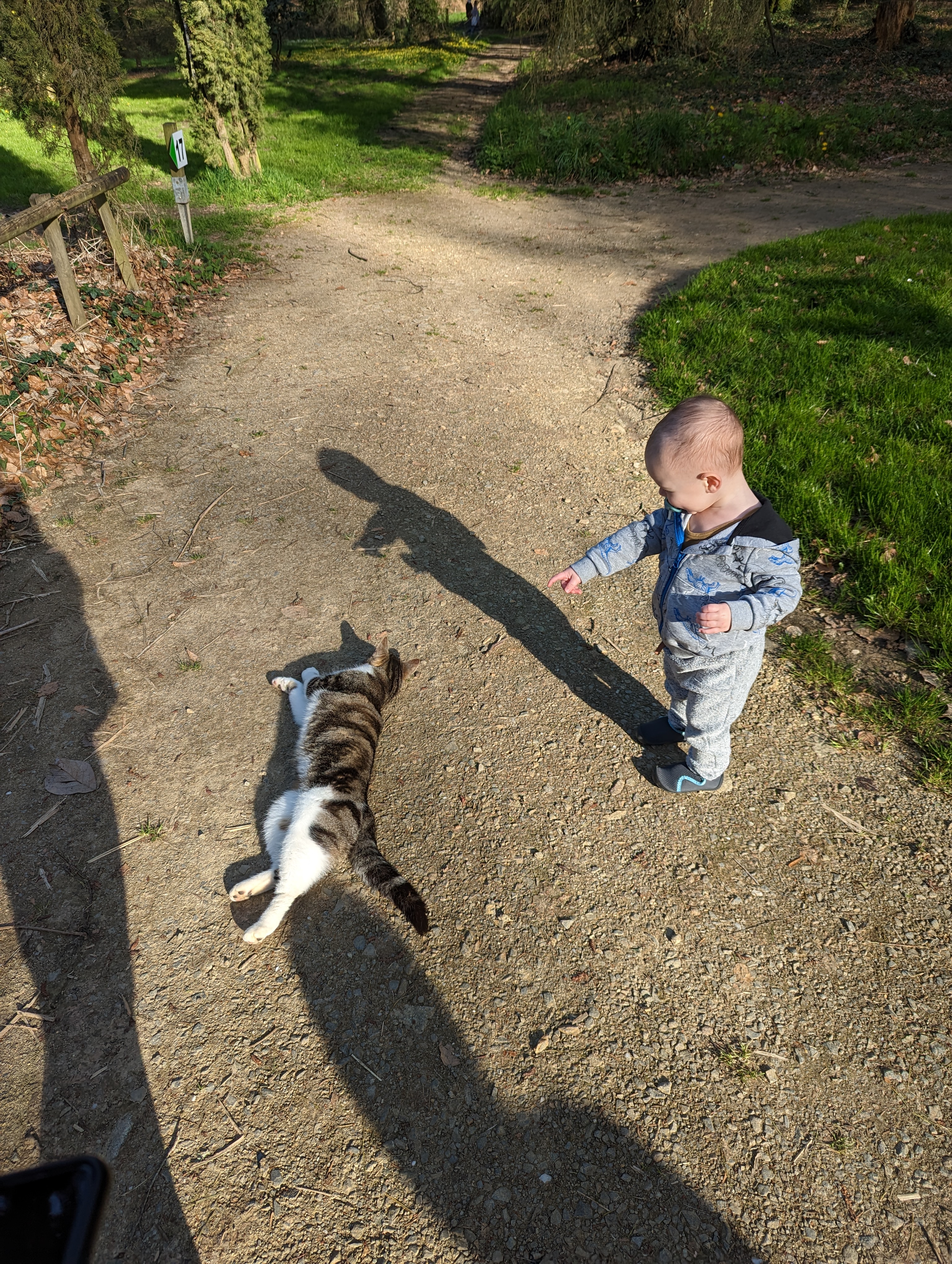 Photo n° 5 de l'avis de Anaïs.A fait le 13/04/2023 à 13:04