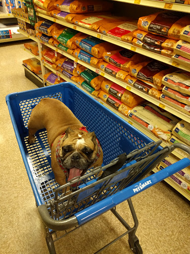 PetSmart image