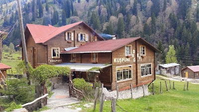 Photos of Kuspuni Dag Evi