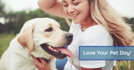 Insurance Agency «Mackley Insurance, Inc.», reviews and photos