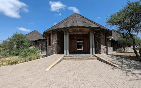 Olduvai Gorge Museum image