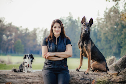Hunde-ASS | Andrea Stelzig - Spezialistin für Familien- und Gebrauchshunde