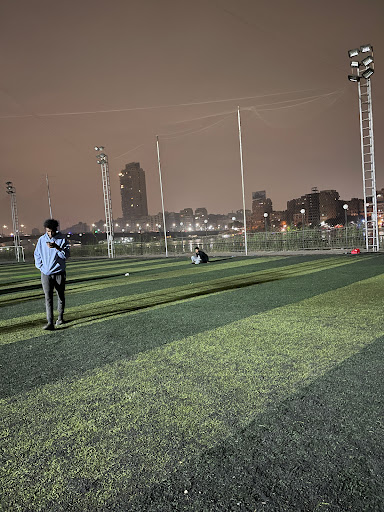 Nile Courts football pitches