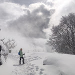 Photo n°1 de l'avis de Ennio.a fait le 26/02/2024 à 17:15 sur le  Rifugio Campolongo à Rotzo