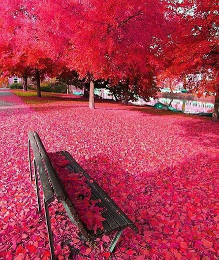 Motorcycle Dealer «Quick Time Cycle Sales», reviews and photos, 2087 S Church St, Spartanburg, SC 29306, USA