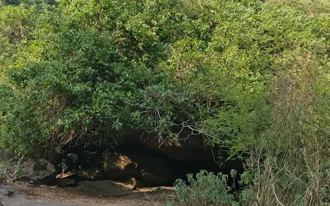 Pazhassi Cave image