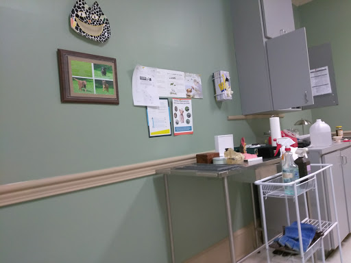 Santa Marietta Animal Hospital LLC