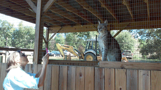 Tourist Attraction «Barn Hill Preserve», reviews and photos, 11370 LA-955, Ethel, LA 70730, USA