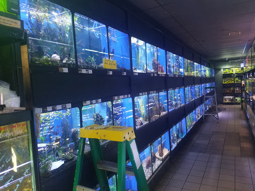 Pet Store «Moby Dick Pet Store Inc», reviews and photos, 3700 Sashabaw Rd, Waterford Twp, MI 48329, USA