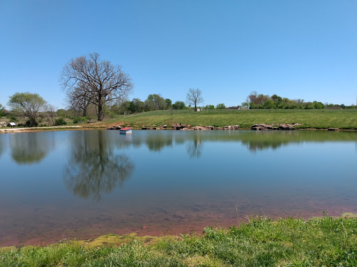 Fishing pond Springfield