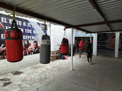 Gym boxeo de alto rendimiento estilo cesar - C. 5 Pte., Morelos, 75770 Tehuacán, Pue., Mexico