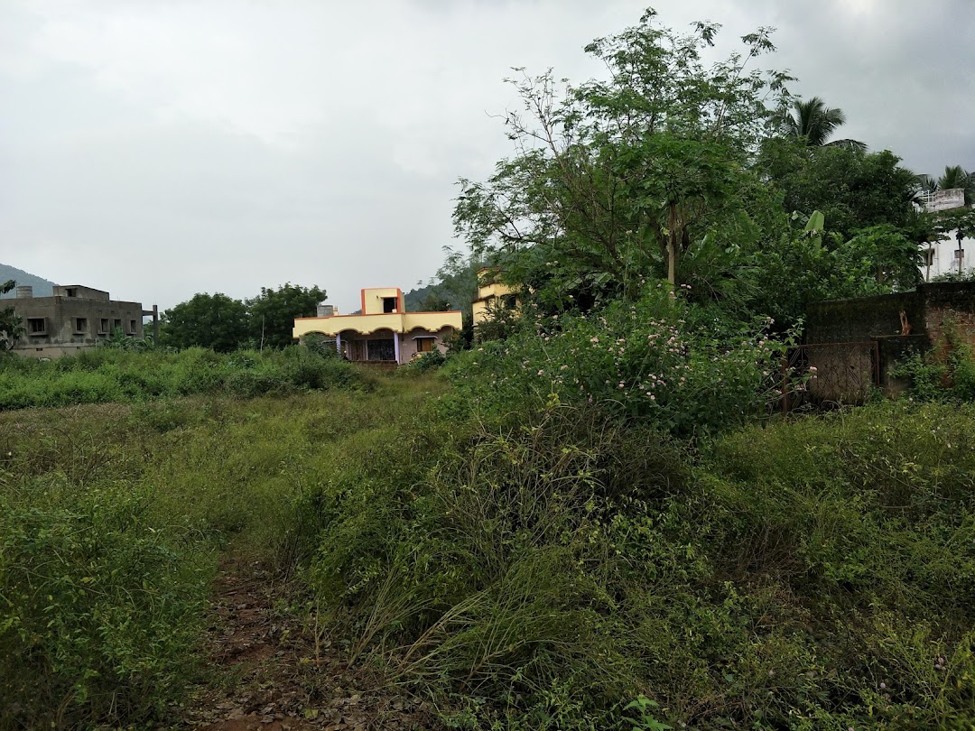 Mahisapat