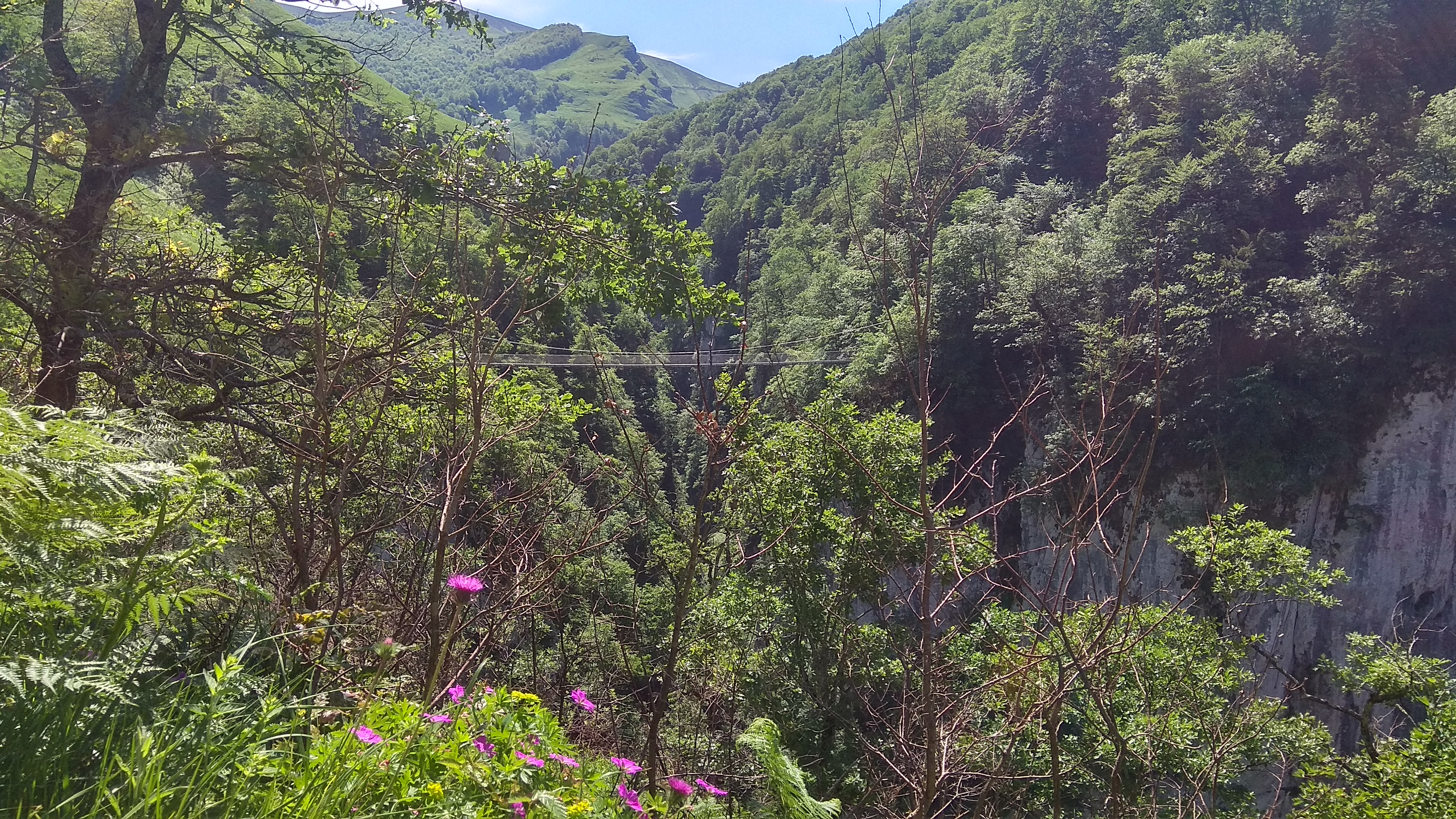 Photo n° 2 de l'avis de Andreia.o fait le 13/06/2021 à 15:17