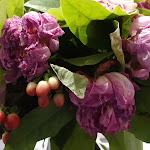 Photo n° 6 de l'avis de D.a fait le 11/06/2020 à 19:33 pour Sylvie Fleurs à Lauris