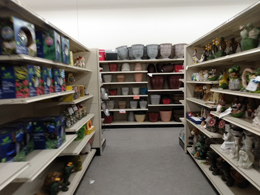 Discount Store «Big Lots», reviews and photos, 3333 Preston Rd #700, Frisco, TX 75034, USA