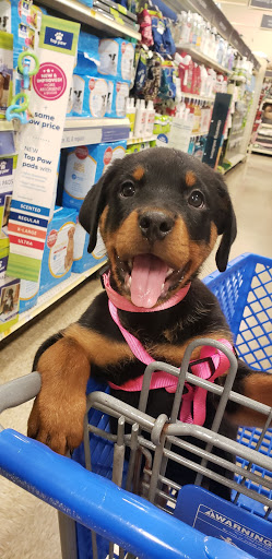 Pet Supply Store «PetSmart», reviews and photos, 7850 W Commercial Blvd, Lauderhill, FL 33351, USA