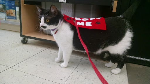 Pet Supply Store «Petco Animal Supplies», reviews and photos, 9687 Kenwood Rd, Blue Ash, OH 45242, USA