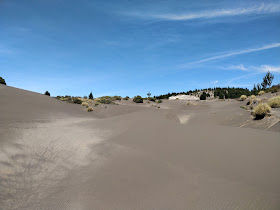 Desierto de Palmira