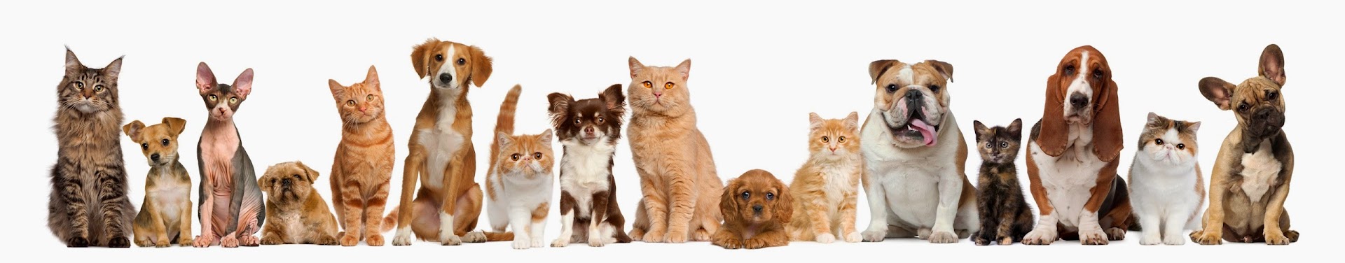 Regal Pet Services