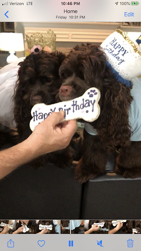 Pet Supply Store «Petco Animal Supplies», reviews and photos, 2241 Porter Creek Dr, Fort Worth, TX 76177, USA