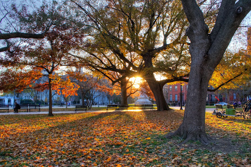 Park «Lafayette Square», reviews and photos, Pennsylvania Ave NW & 16th Street Northwest, Washington, DC 20001, USA