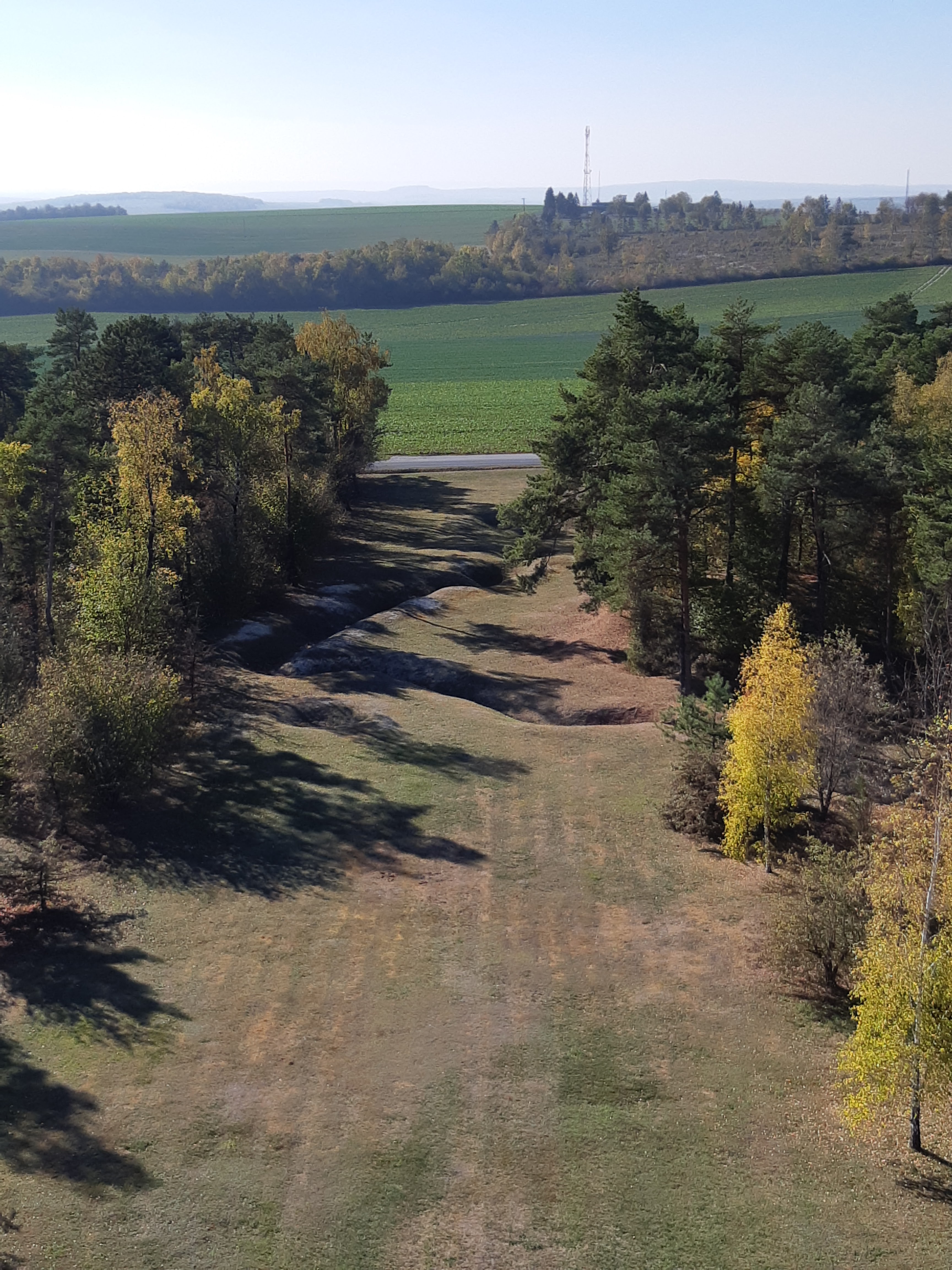 Photo n° 3 de l'avis de Grenier.y fait le 21/10/2018 à 13:16