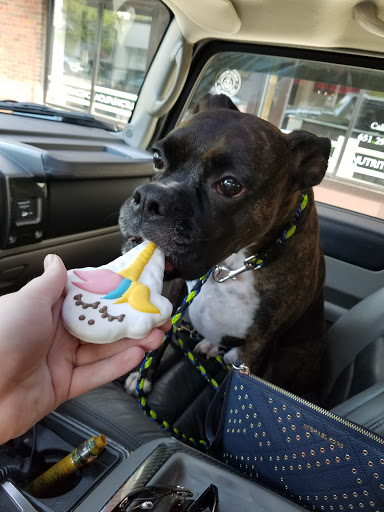 Pet Groomer «Bubbly Paws Dog Wash & Grooming», reviews and photos, 949 Grand Ave, St Paul, MN 55105, USA