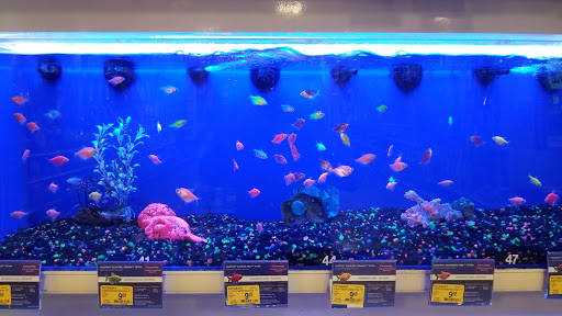 Pet Supply Store «PetSmart», reviews and photos, 16086 Jackson Creek Pkwy, Monument, CO 80132, USA