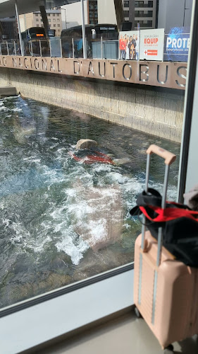 Opiniones y valoraciones de Estación Nacional de Autobuses del Principado de Andorra