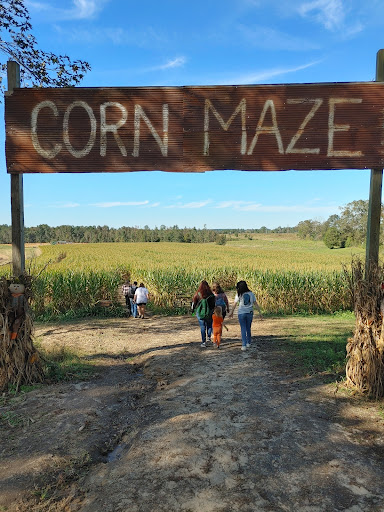 Tourist Attraction «Sugar Hill U-pick Farms», reviews and photos, 3595 Co Rd 59, Verbena, AL 36091, USA