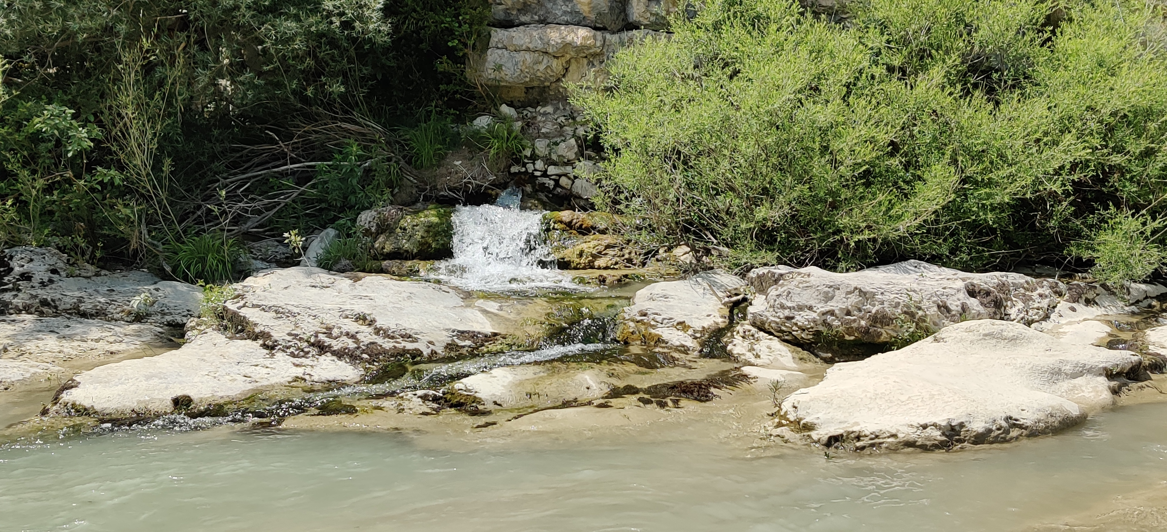 Photo n° 2 de l'avis de gean.e fait le 31/05/2020 à 15:44