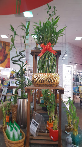 Gift Shop «Pangaea Outpost», reviews and photos, 909 Garnet Ave, San Diego, CA 92109, USA