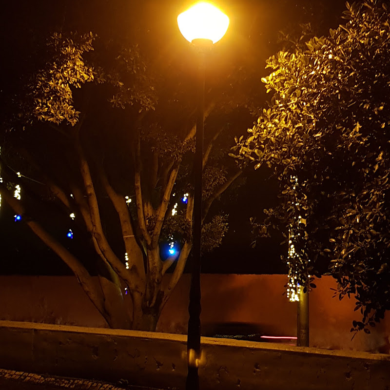3 image