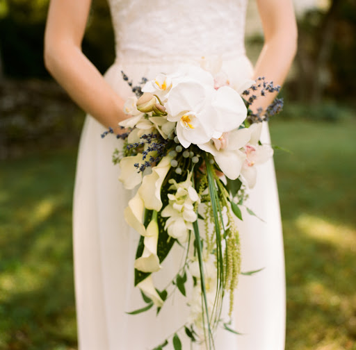 Florist «Butera The Florist», reviews and photos, 313 E Market St, York, PA 17403, USA