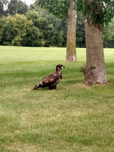 Golf Course «Mississippi National Golf Links», reviews and photos, 409 Golf Links Dr, Red Wing, MN 55066, USA