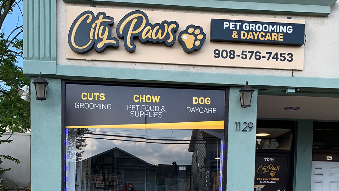 City Paws Pet Grooming & Daycare