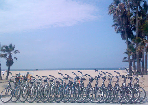 Wine Bar «Venice Beach Wines», reviews and photos, 529 Rose Ave, Venice, CA 90291, USA