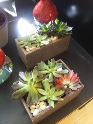 Florist «Exotica Florist», reviews and photos, 10376 Main Street, Fairfax, VA 22030, USA