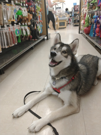 Pet Supply Store «Petco Animal Supplies», reviews and photos, 205 Palm Bay Rd NE #155, West Melbourne, FL 32904, USA