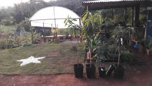 Logo da empresa - Flora NSA