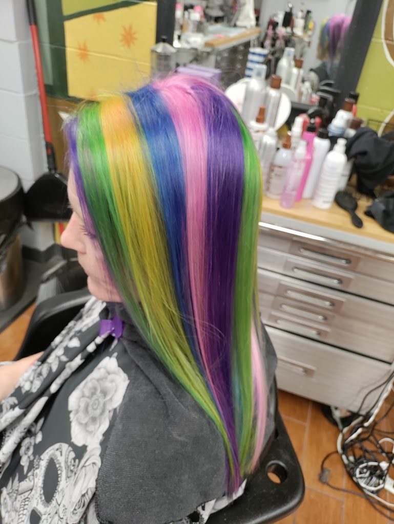 Hair Snips Inc 46107