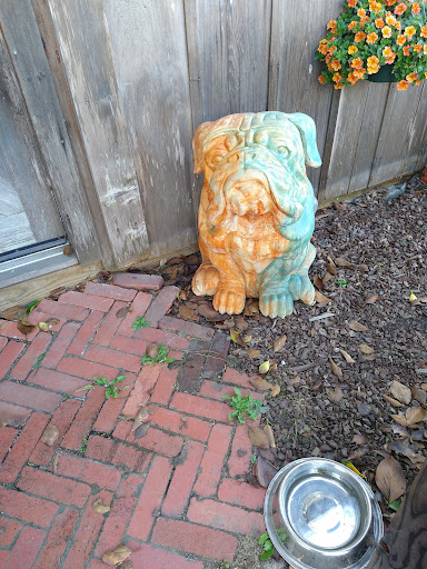 Supermarket «Harvest Market», reviews and photos, 10501 Lansing St, Mendocino, CA 95460, USA