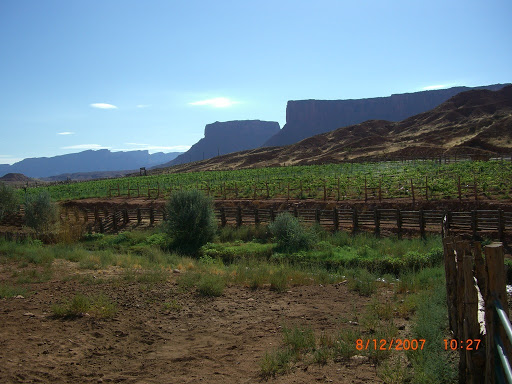 Winery «Moab Castle Creek Winery», reviews and photos, 14 UT-128, Moab, UT 84532, USA