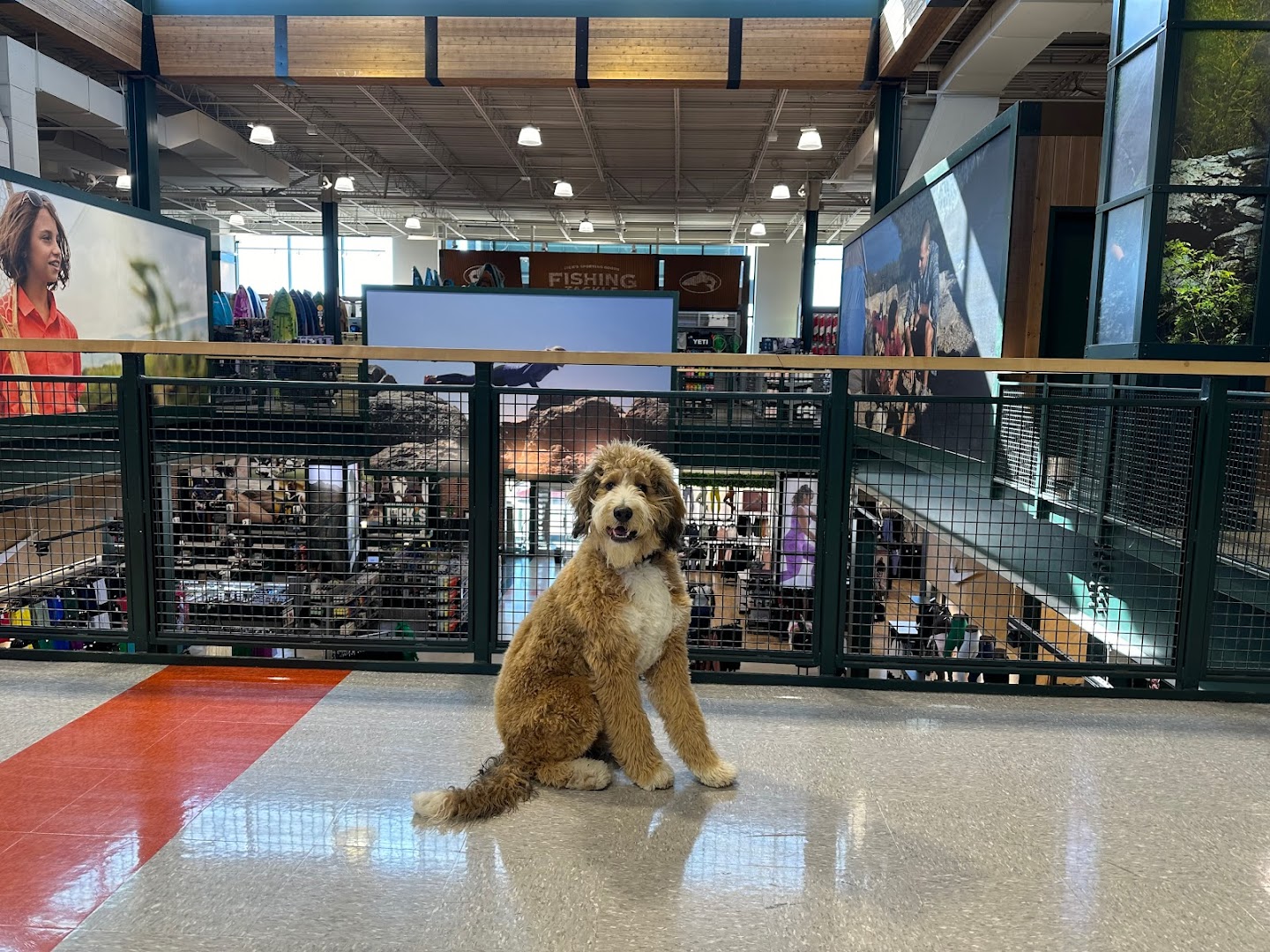 Nebraska Dog Trainers