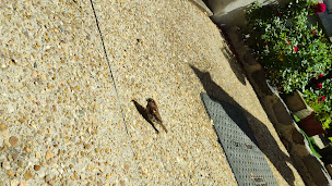 Photo n°45 de Le Pailherolais à Pailherols ()