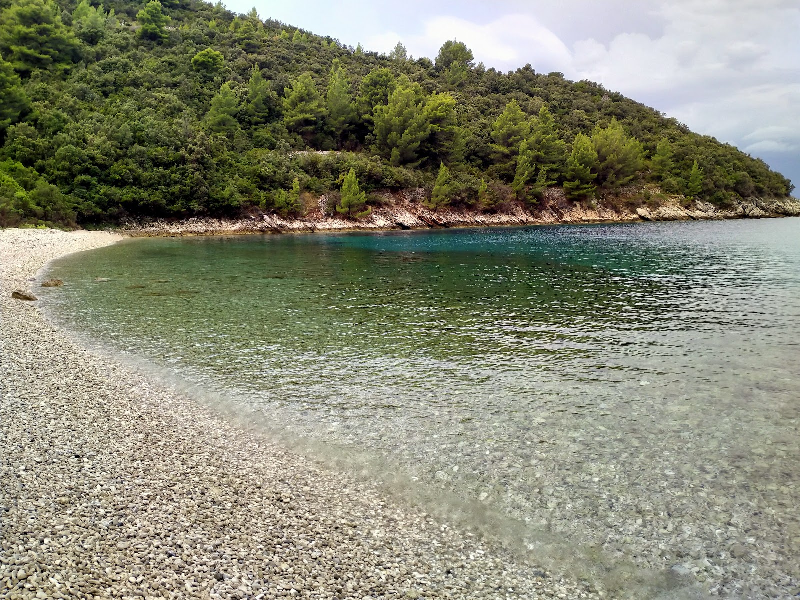 Foto de Samograd Bay localizado em área natural