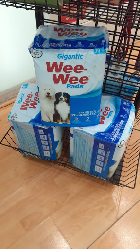 Pet Store «South Beach Pet Shop», reviews and photos, 634 6th St, Miami Beach, FL 33139, USA