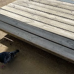 Photo n°5 de l'avis de Irene.n fait le 11/09/2023 à 09:44 sur le  Maincafé à Frankfurt