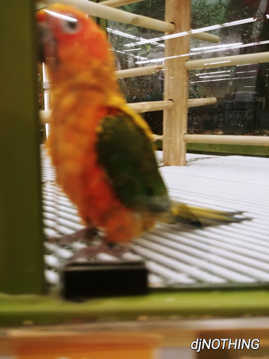 Pet Supply Store «Petco Animal Supplies», reviews and photos, 3055 Columbia Blvd #117, Titusville, FL 32780, USA