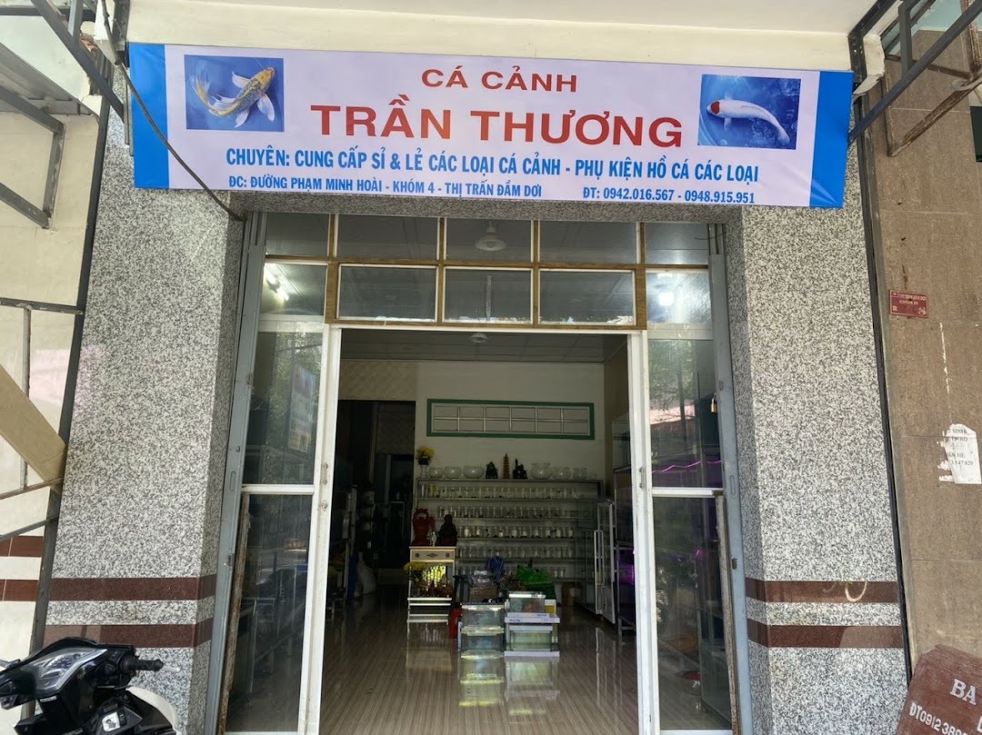 Cửa hàng cá cảnh Trần Thương